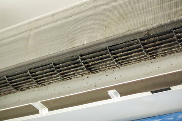 Best HVAC Duct Inspection Services  in Cottonwood Shores, TX